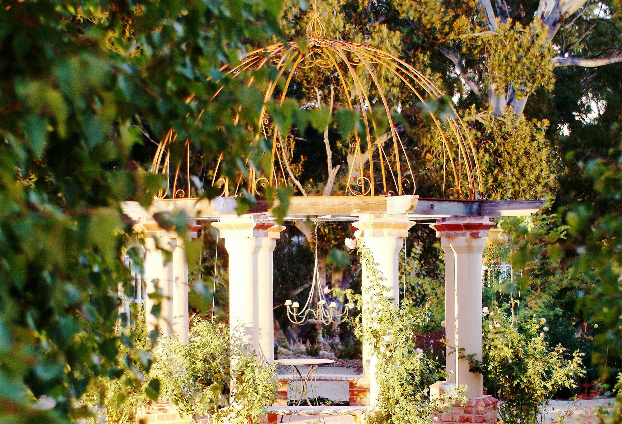 Jacobs Creek Retreat - Barossa Valley Tanunda Dış mekan fotoğraf